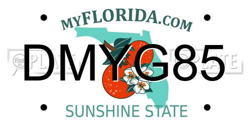 DMYG85 Florida License Plate