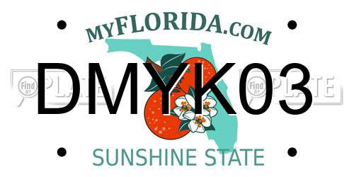 DMYK03 Florida License Plate
