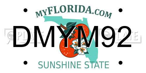 DMYM92 Florida License Plate