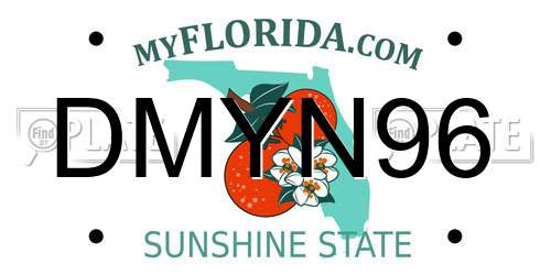 DMYN96 Florida License Plate