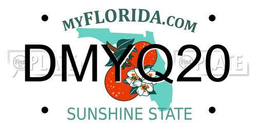 DMYQ20 Florida License Plate