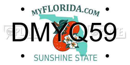 DMYQ59 Florida License Plate