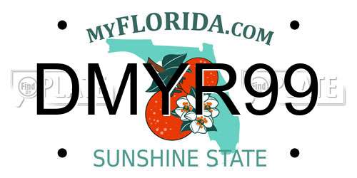 DMYR99 Florida License Plate