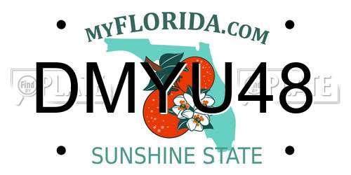 DMYU48 Florida License Plate
