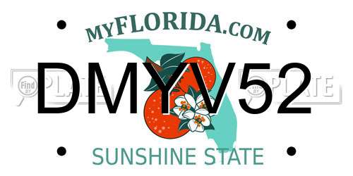 DMYV52 Florida License Plate