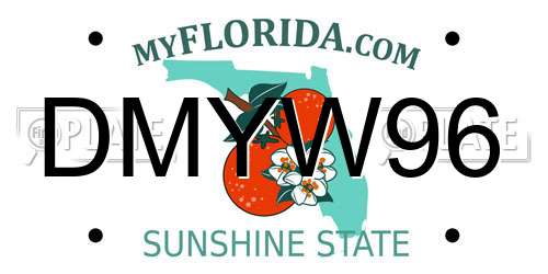 DMYW96 Florida License Plate