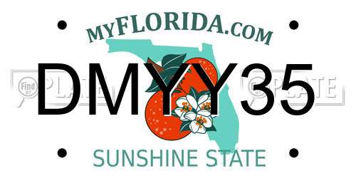 DMYY35 Florida License Plate