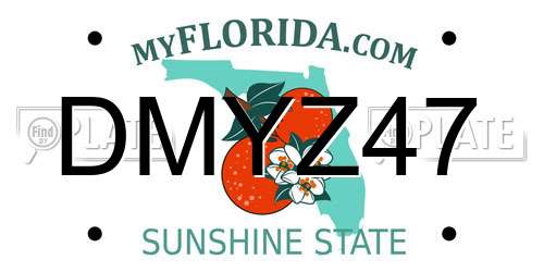 DMYZ47 Florida License Plate