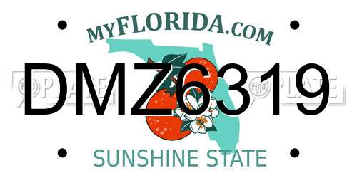 DMZ6319 Florida License Plate