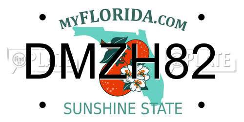 DMZH82 Florida License Plate