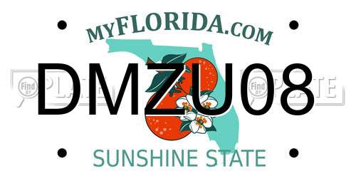 DMZU08 Florida License Plate