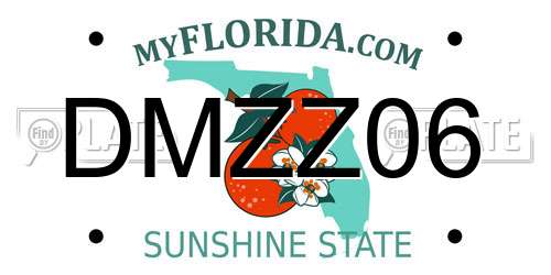 DMZZ06 Florida License Plate