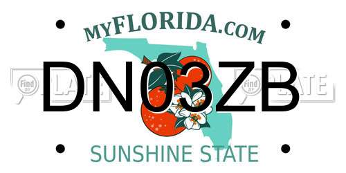 DN03ZB Florida License Plate