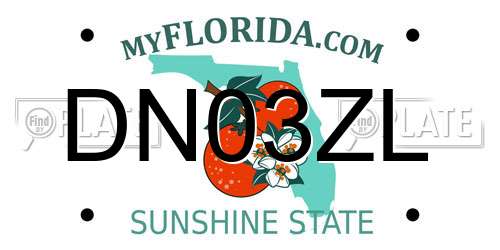 DN03ZL Florida License Plate