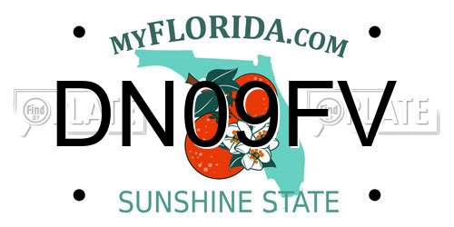 DN09FV Florida License Plate