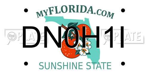DN0H1I Florida License Plate