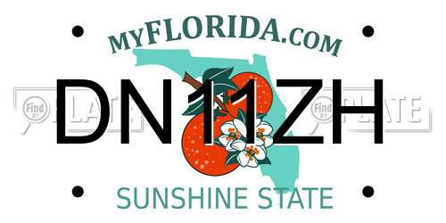 DN11ZH Florida License Plate