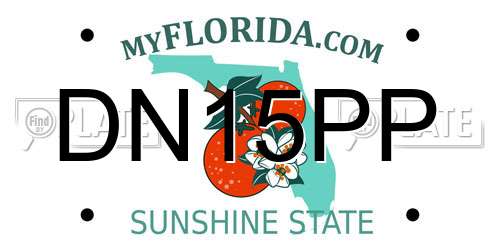 DN15PP Florida License Plate