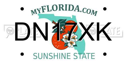 DN17XK Florida License Plate