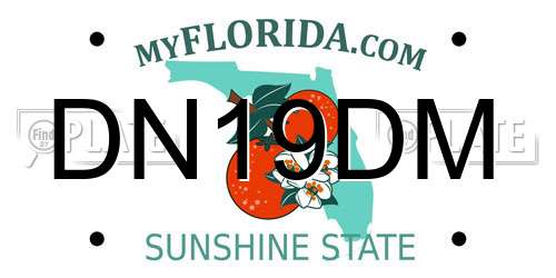DN19DM Florida License Plate