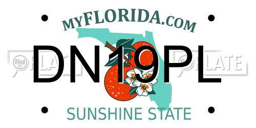 DN19PL Florida License Plate