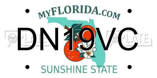 DN19VC Florida License Plate