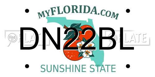 DN22BL Florida License Plate