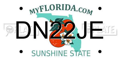 DN22JE Florida License Plate