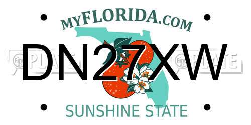 DN27XW Florida License Plate