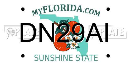 DN29AI Florida License Plate