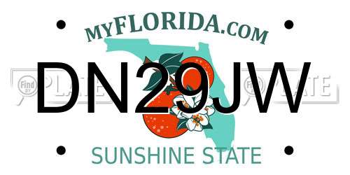DN29JW Florida License Plate