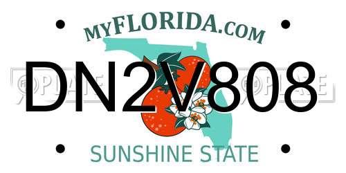 DN2V808 Florida License Plate