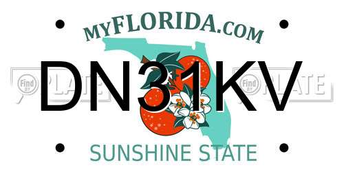 DN31KV Florida License Plate