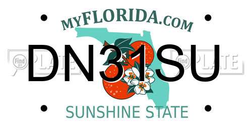 DN31SU Florida License Plate