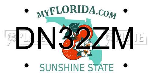 DN32ZM Florida License Plate