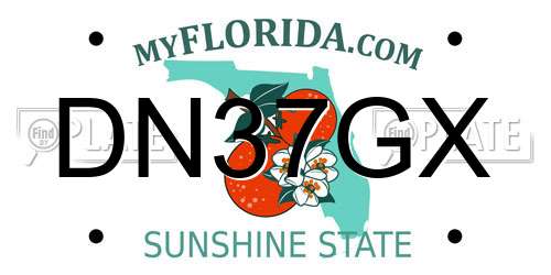 DN37GX Florida License Plate