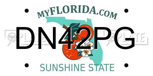 DN42PG Florida License Plate