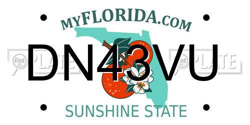 DN43VU Florida License Plate