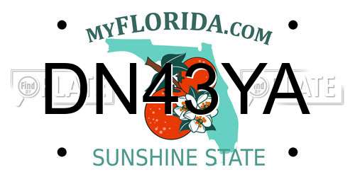 DN43YA Florida License Plate