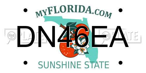 DN46EA Florida License Plate
