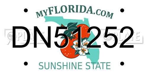 DN51252 Florida License Plate