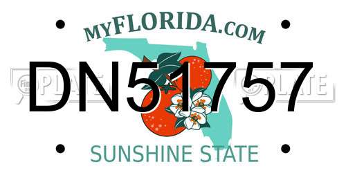 DN51757 Florida License Plate