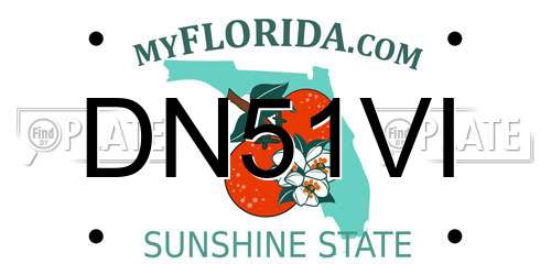 DN51VI Florida License Plate