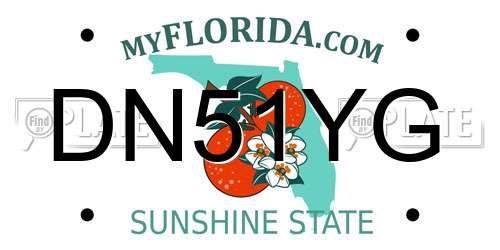 DN51YG Florida License Plate
