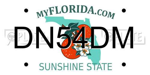 DN54DM Florida License Plate