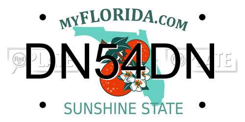 DN54DN Florida License Plate
