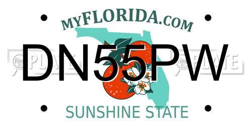 DN55PW Florida License Plate