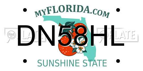DN58HL Florida License Plate