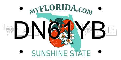 DN61YB Florida License Plate
