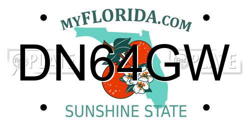 DN64GW Florida License Plate
